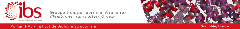 Groupe transporteurs membranaires